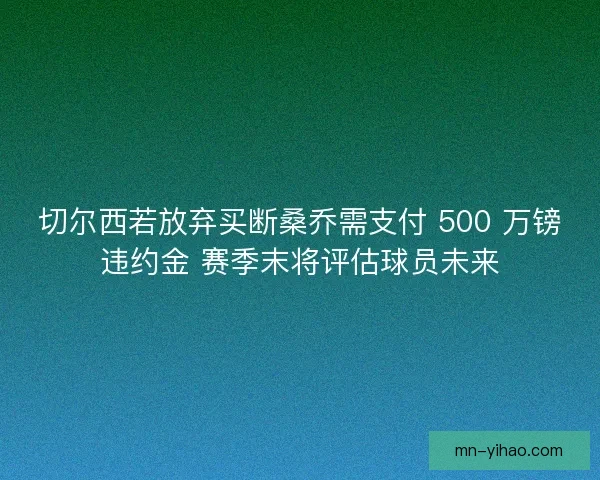 切尔西若放弃买断桑乔需支付 500 万镑违约金 赛季末将评估球员未来 切尔西若放弃买断桑乔需支付 500 万镑违约金 赛季末将评估球员未来