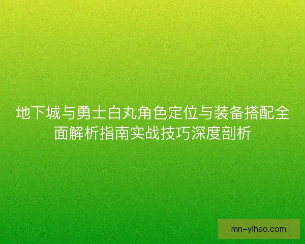 地下城与勇士白丸角色定位与装备搭配全面解析指南实战技巧深度剖析